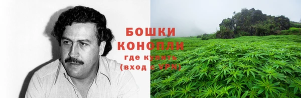 стафф Елабуга