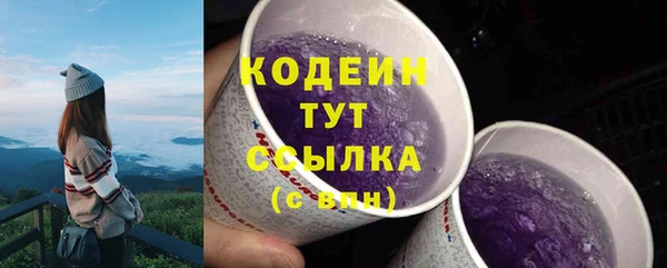 гидра Елизово