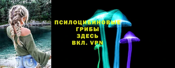 спайс Ельня