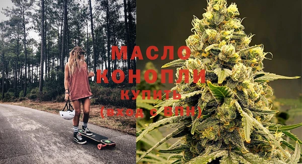 гидра Елизово