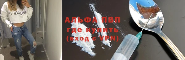 спайс Ельня