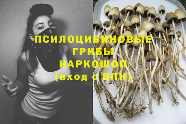 jwh Гатчина