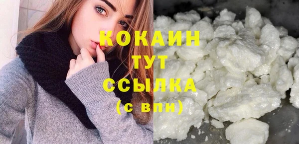 гидра Елизово