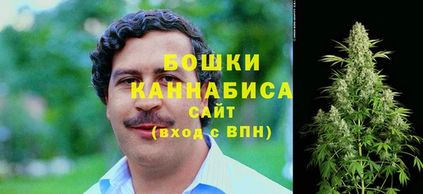 спайс Ельня