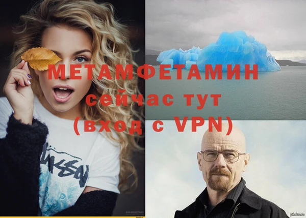 гидра Елизово